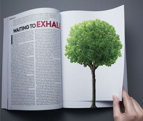 greenpeacetree_021