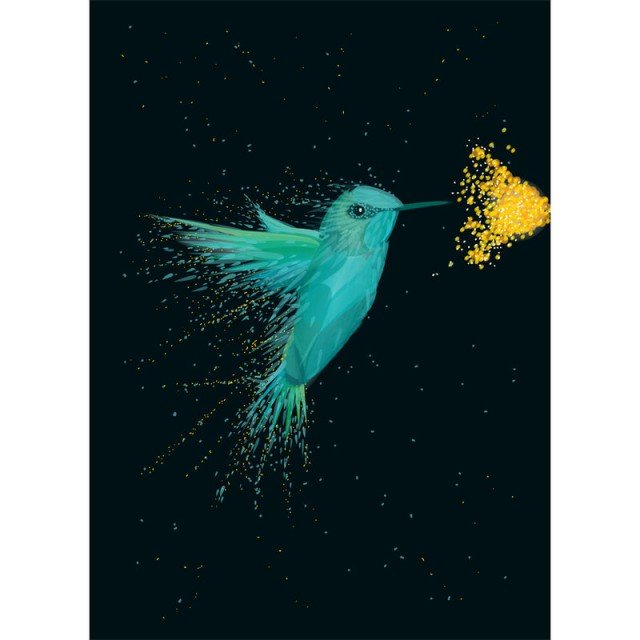 Hummingbird Black