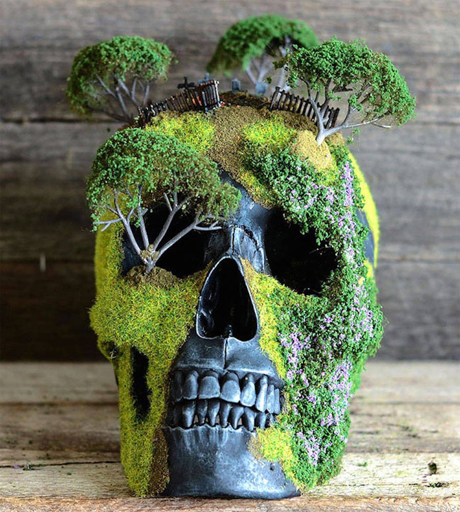 Jack of the Dust - caveira bonsai